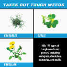 Ortho GroundClear 32 Oz. Super Concentrate Weed & Grass Killer Image 7