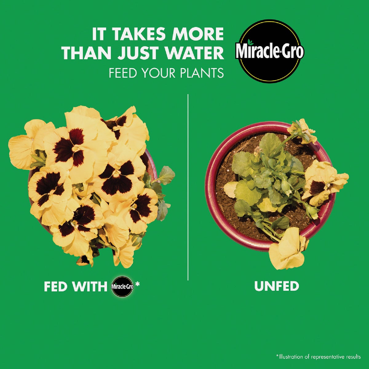 Miracle-Gro LiquaFeed 16 Oz. All Purpose Liquid Plant Food (4-Pack) Image 2