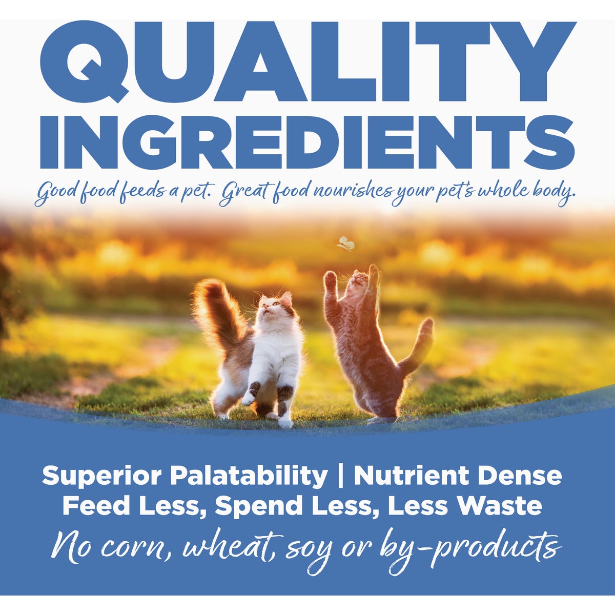 NutriSource 4 Lb. Chicken Meal, Salmon, & Liver Dry Cat & Kitten Food Image 5