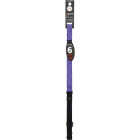 Lupine 3/4 In. x 6 Ft. Woven Pattern Jellyroll Dog Leash Image 1