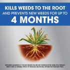 Roundup Dual Action 32 Oz. 1600 Sq. Ft. Concentrate Weed & Grass Killer Image 3