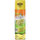 Bengal 16 Oz. Aerosol Spray Carpenter Bee & Ant Killer Image 1