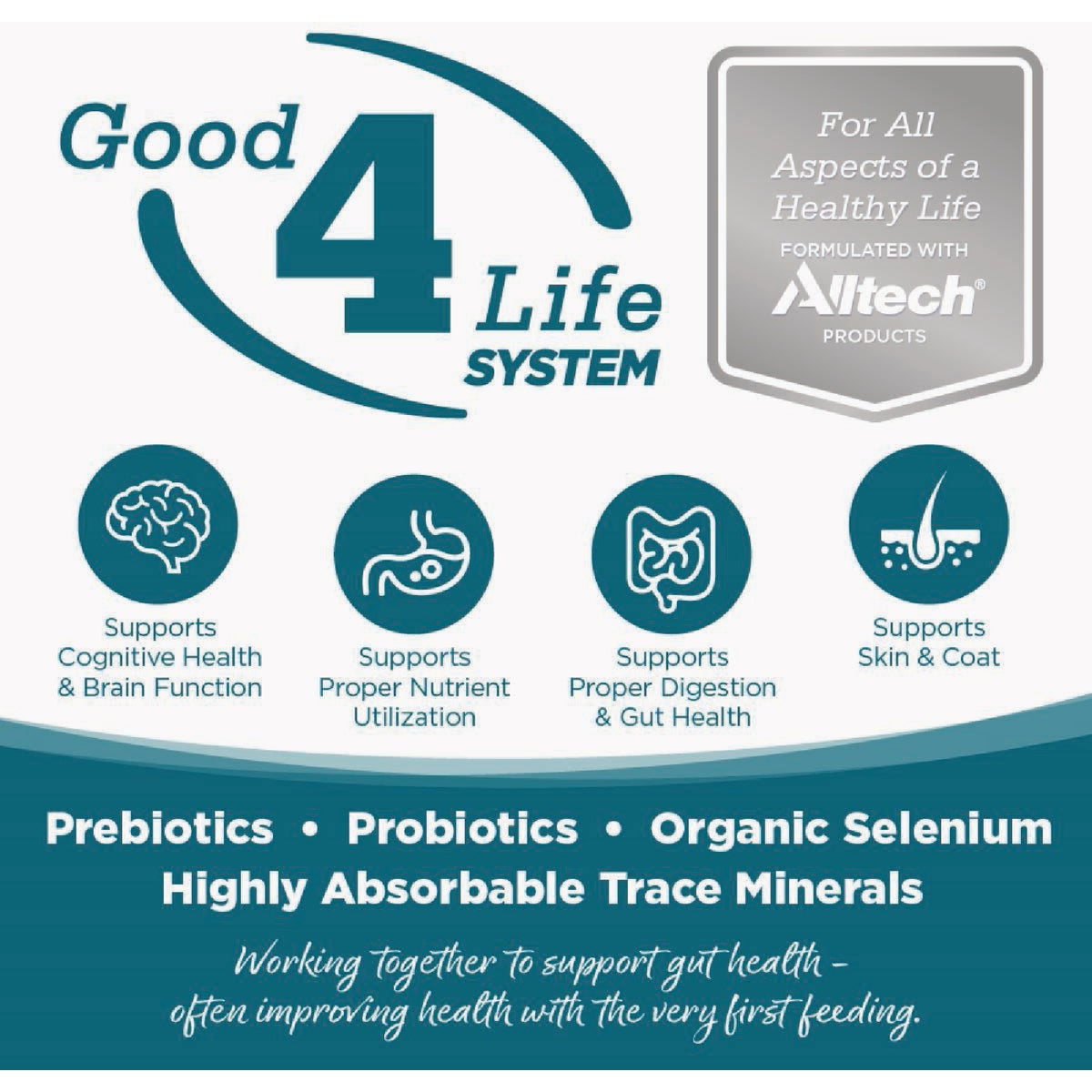 NutriSource 26 Lb. Lamb & Rice Recipe Large Breed Dog Food Image 5