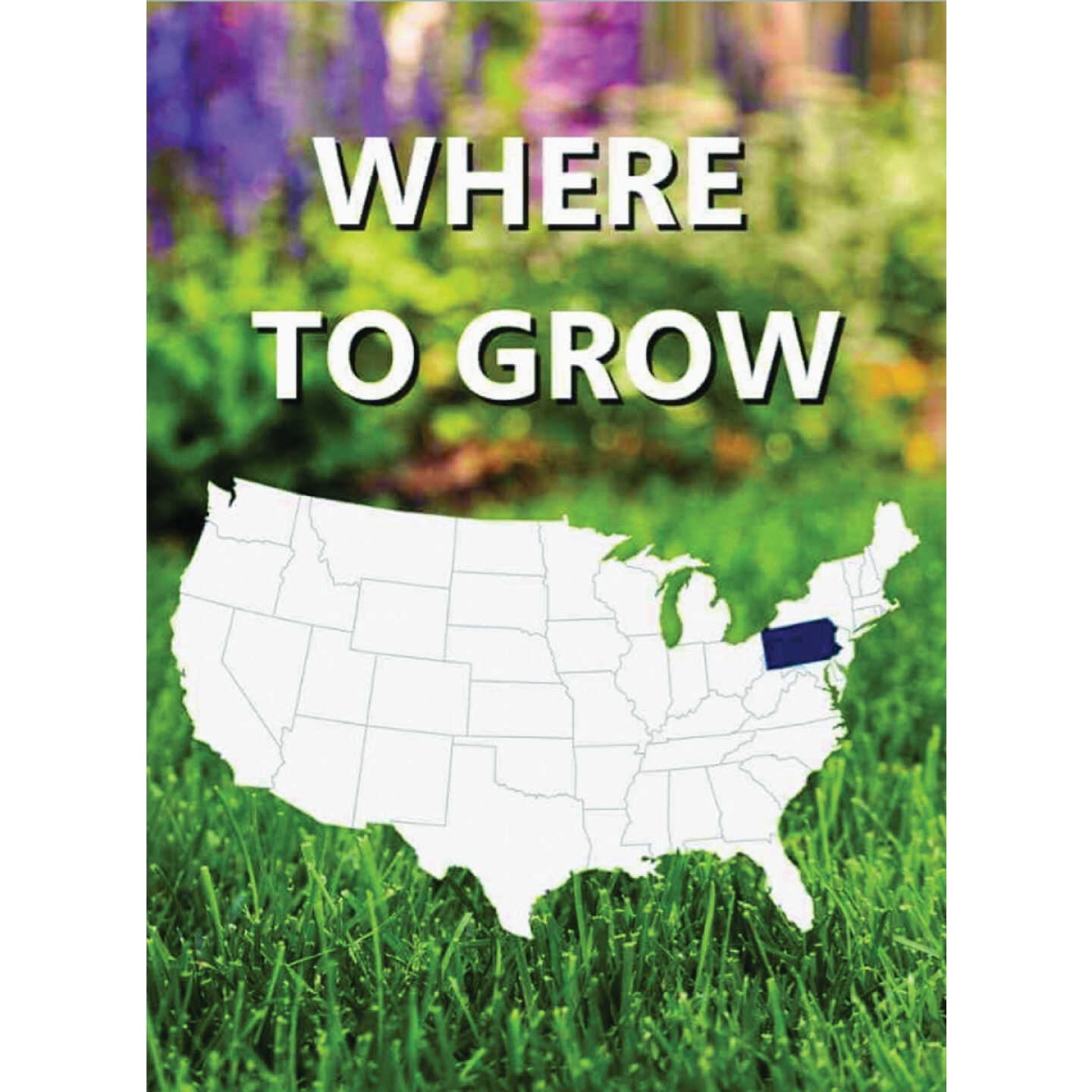 Jonathan Green Black Beauty Keystone 3 Lb. 2250 Sq. Ft. Coverage Tall Fescue Grass Seed Image 2