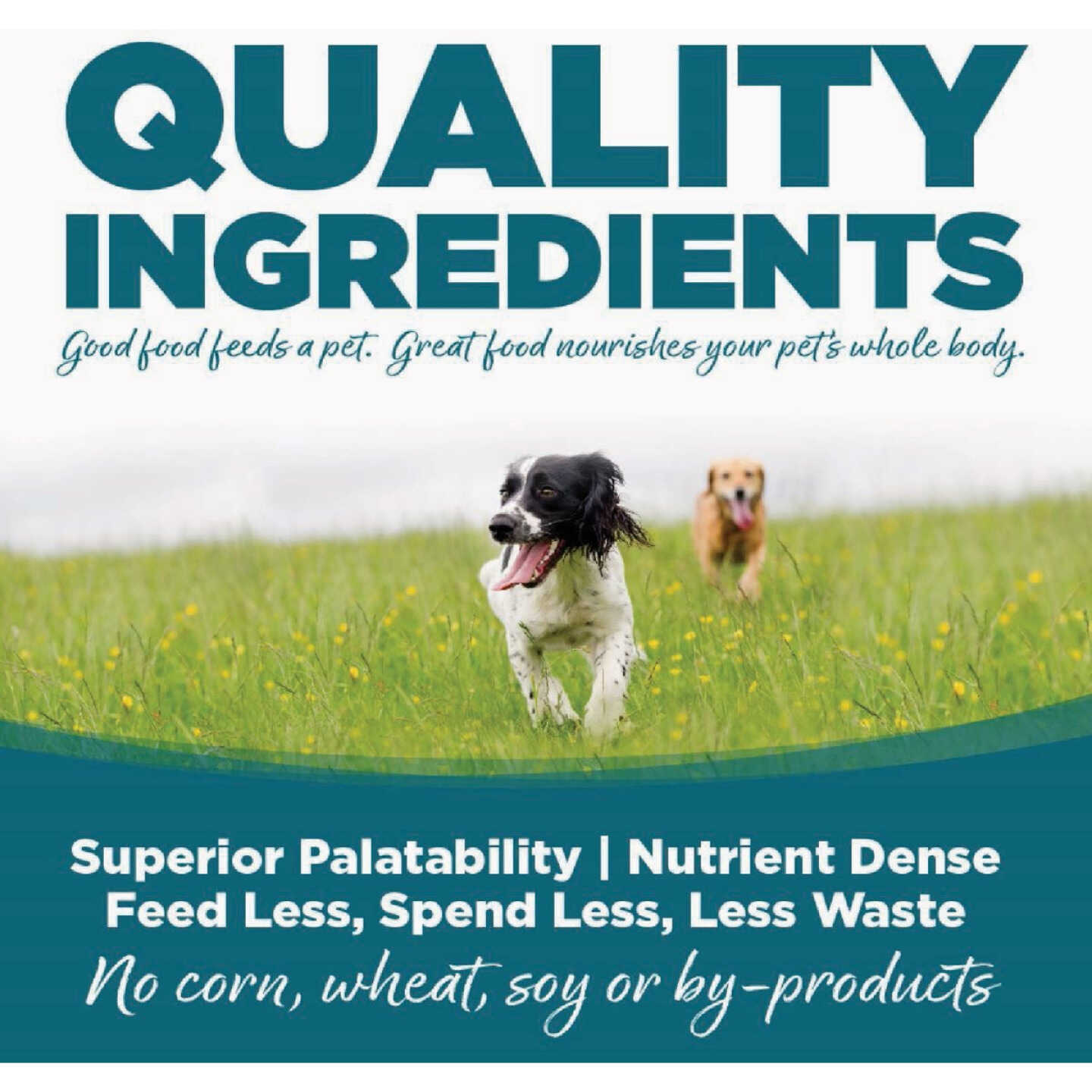 NutriSource 26 Lb. Chicken & Rice Recipe Large Breed Puppy Food Image 5