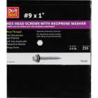 Do it #9 x 1 In. Hex Washered Galvanized Framing Screw (250-Count) Image 1