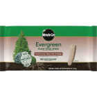 Miracle-Gro Evergreen Plant Food Spikes (12-Pack) Image 1