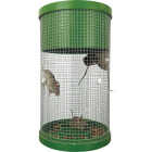 Billy-Bob Multi-Catch Mouse Trap Image 8