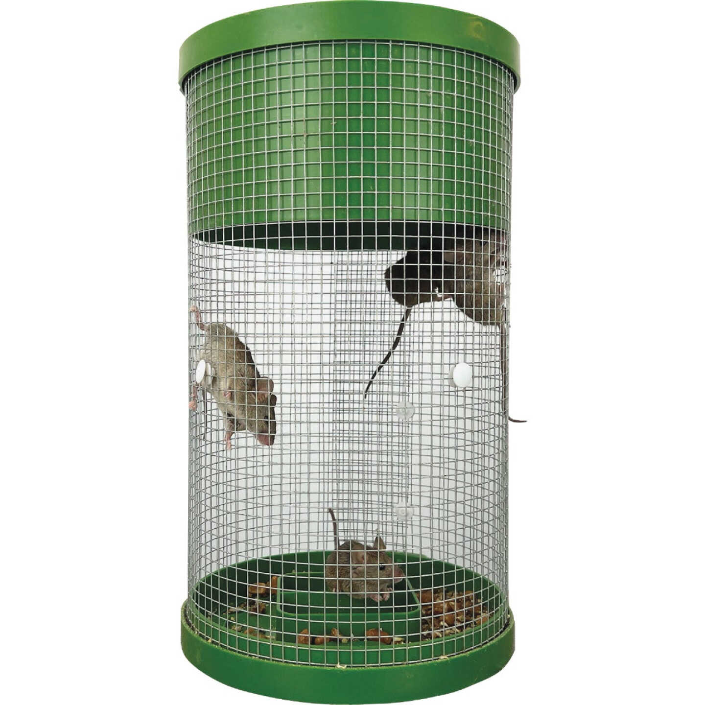 Billy-Bob Multi-Catch Mouse Trap Image 8
