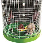 Billy-Bob Multi-Catch Mouse Trap Image 9