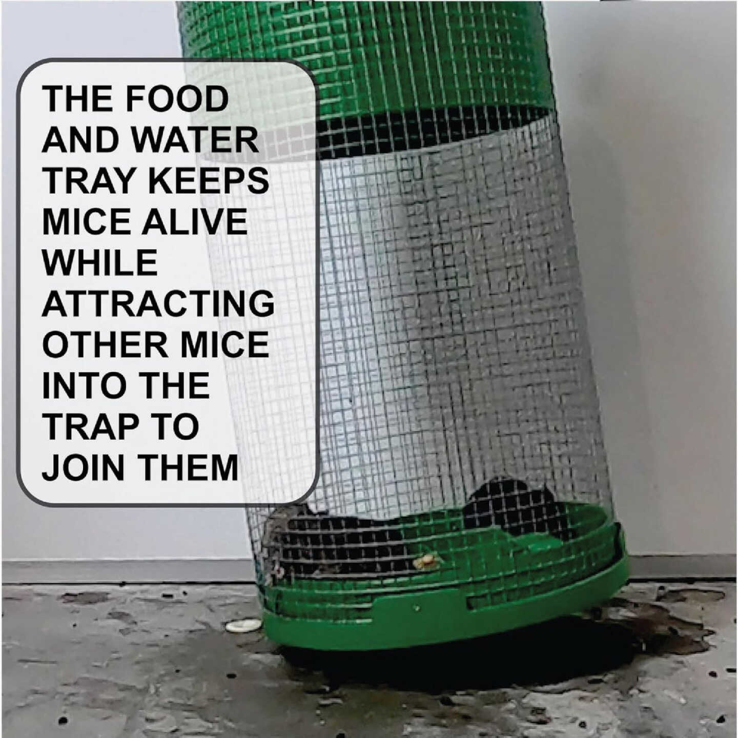 Billy-Bob Multi-Catch Mouse Trap Image 3