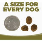 NutriSource 4 Lb. Small Bites Chicken & Pea Recipe Grain Free Dog Food Image 4