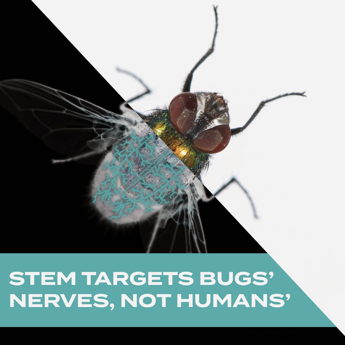 Stem 10 Oz. Aerosol Spray Flying Insect Killer Image 4