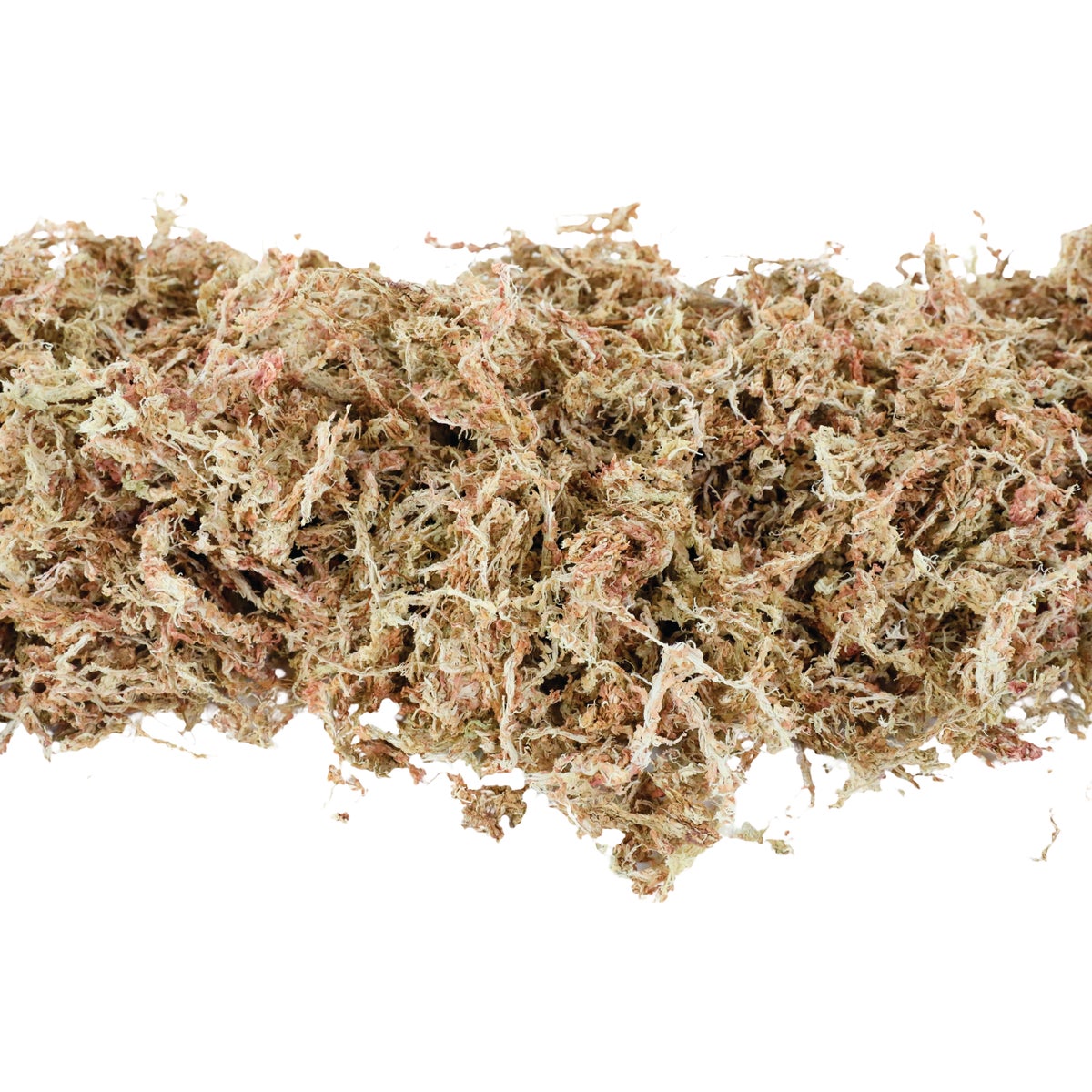 Mossify 1.8 Oz. Premium Natural Sphagnum Moss Image 2