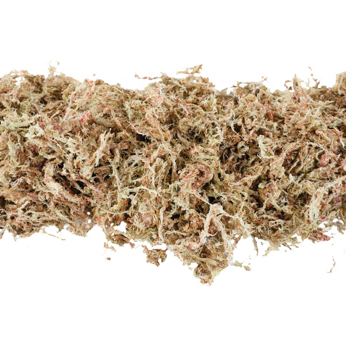 Mossify 1.8 Oz. Premium Natural Sphagnum Moss Image 2