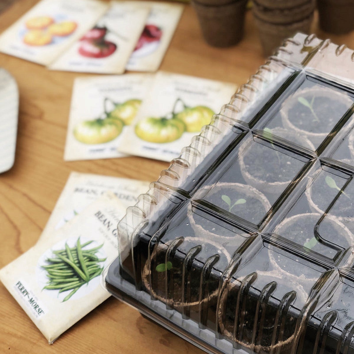 Jiffy 22 In. W. x 11 In. L. Seed Starter Greenhouse Dome Image 3