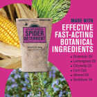 EarthKind Fresh Cab Spider Deterrent (4-Pack) Image 3