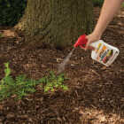 Spectracide 32 Oz. Ready To Use Trigger Spray Weed & Grass Killer Image 3