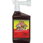 Hi-Yield Bug Blaster II 32 Oz. Ready To Spray Hose End Insect Killer Image 1