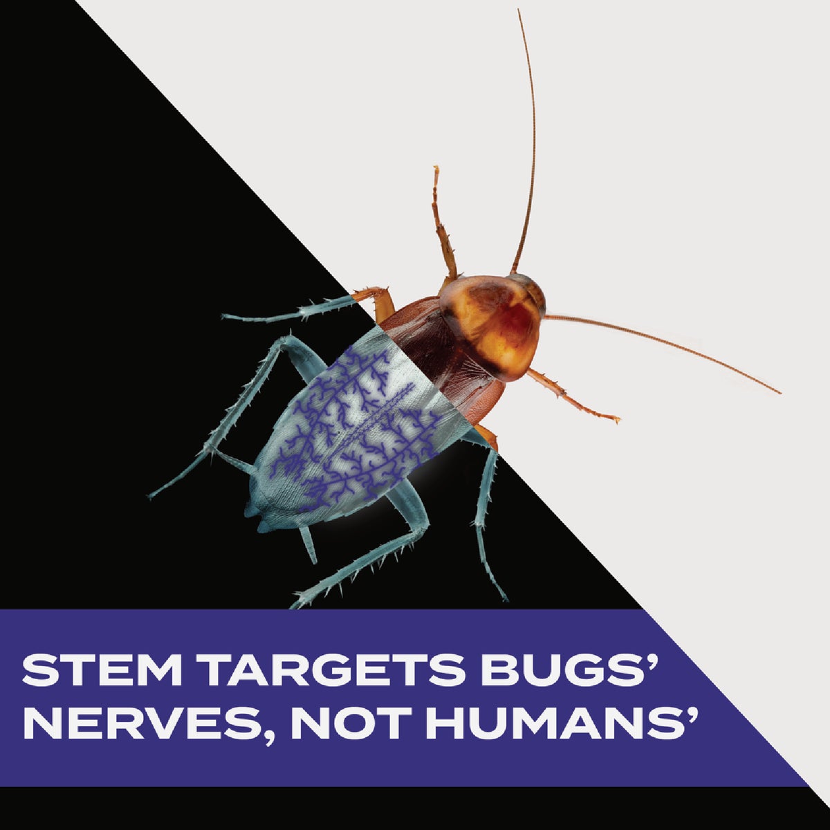 Stem 10 Oz. Aerosol Spray Crawling Insect Killer Image 4