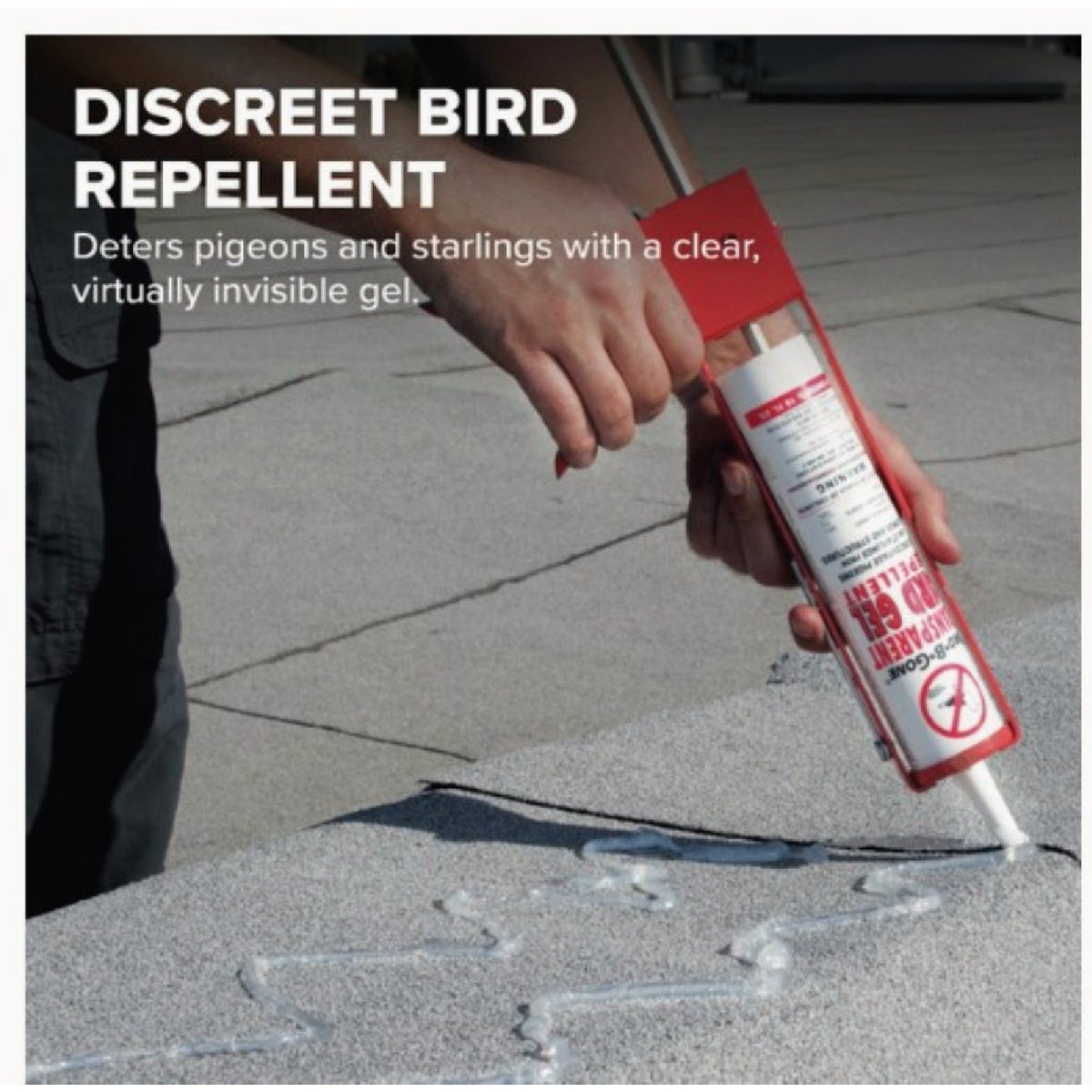 Bird-B-Gone 10 Oz. Transparent Bird Gel Image 3