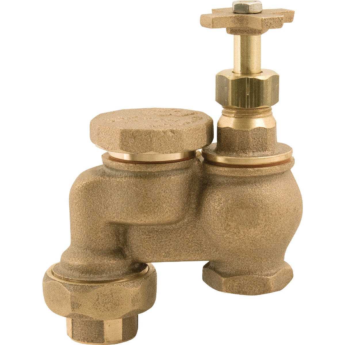 Champion 3/4 In. 25 to 150 psi Anti-Siphon Valve with Union