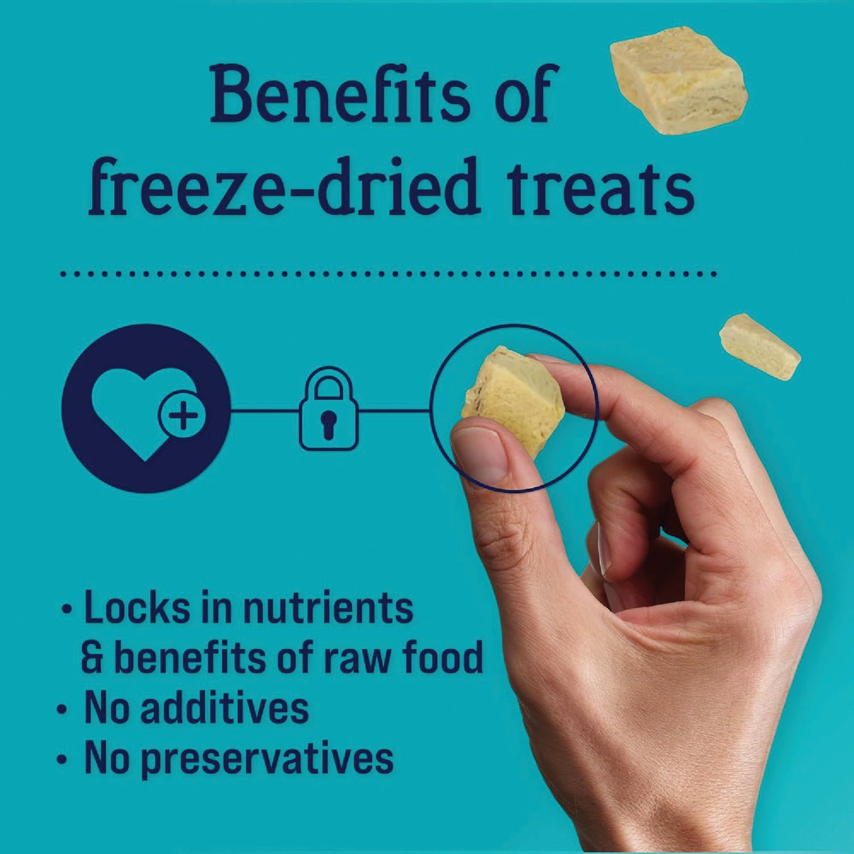 Stewart 3 Oz. Tub Freeze-Dried Chicken Breast Dog Treats Image 4