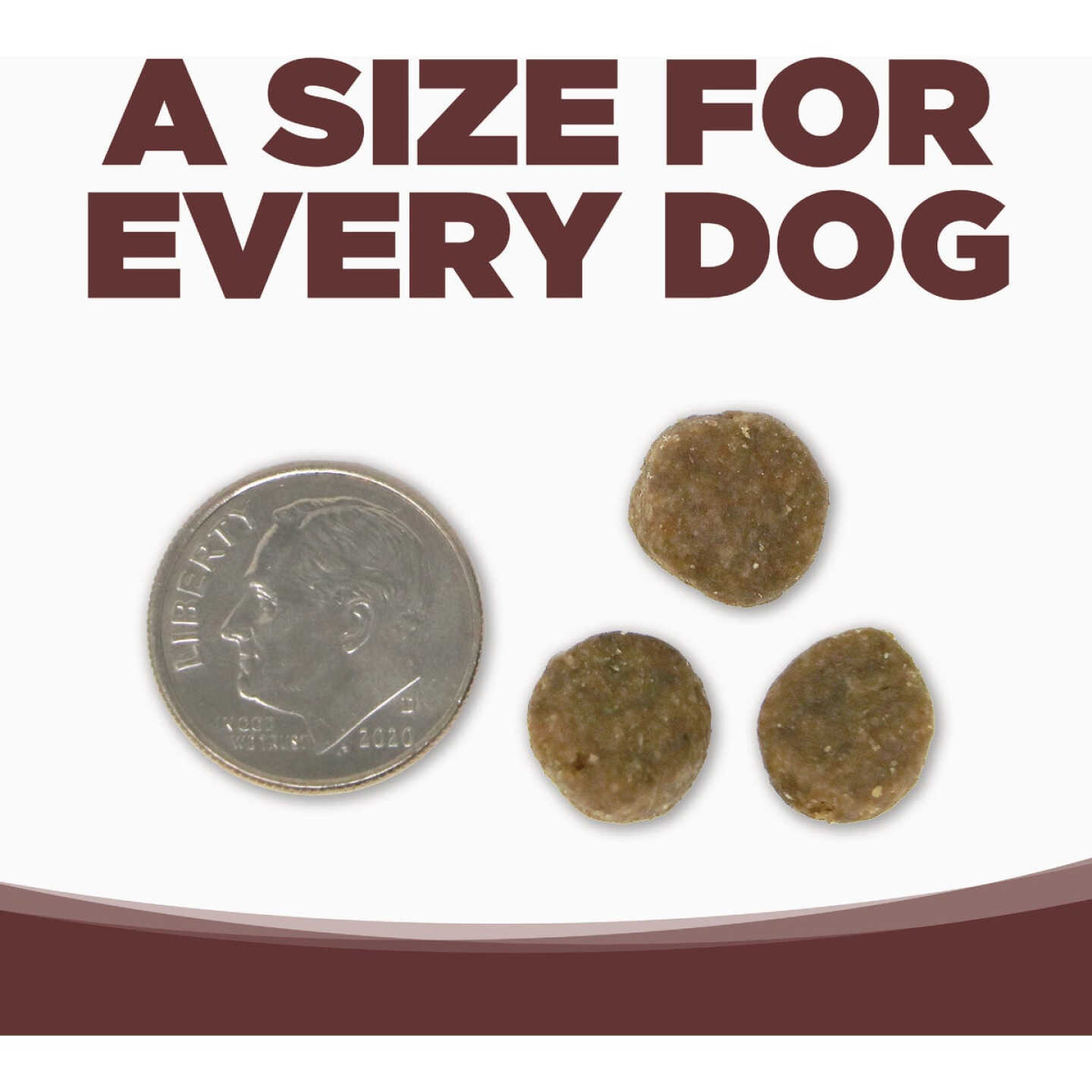 NutriSource 26 Lb. Prairie Select Recipe Grain Free Dog Food Image 2