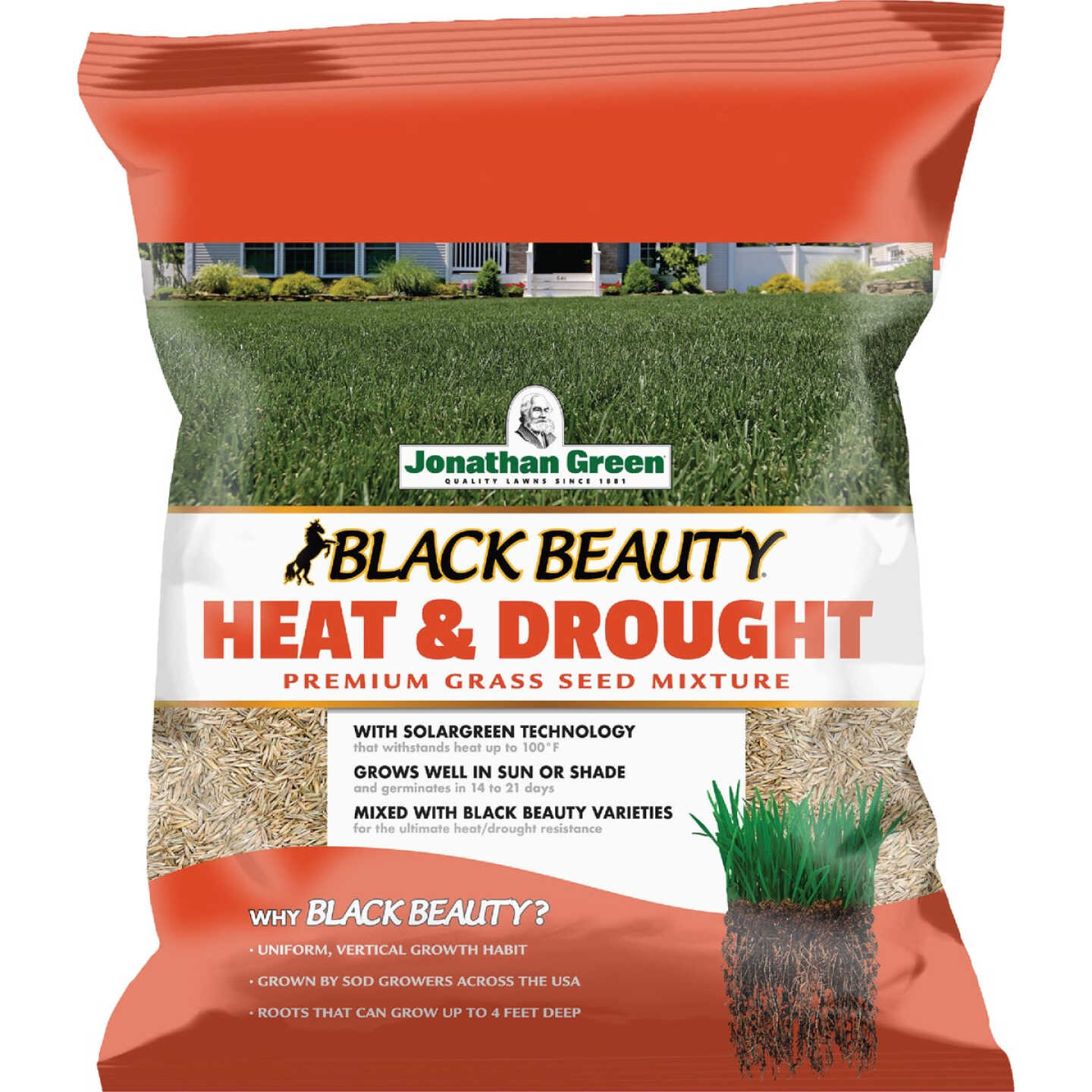 Jonathan Green Black Beauty 3 Lb. Texas Bluegrass Heat & Drought Resistant Grass Seed Image 1