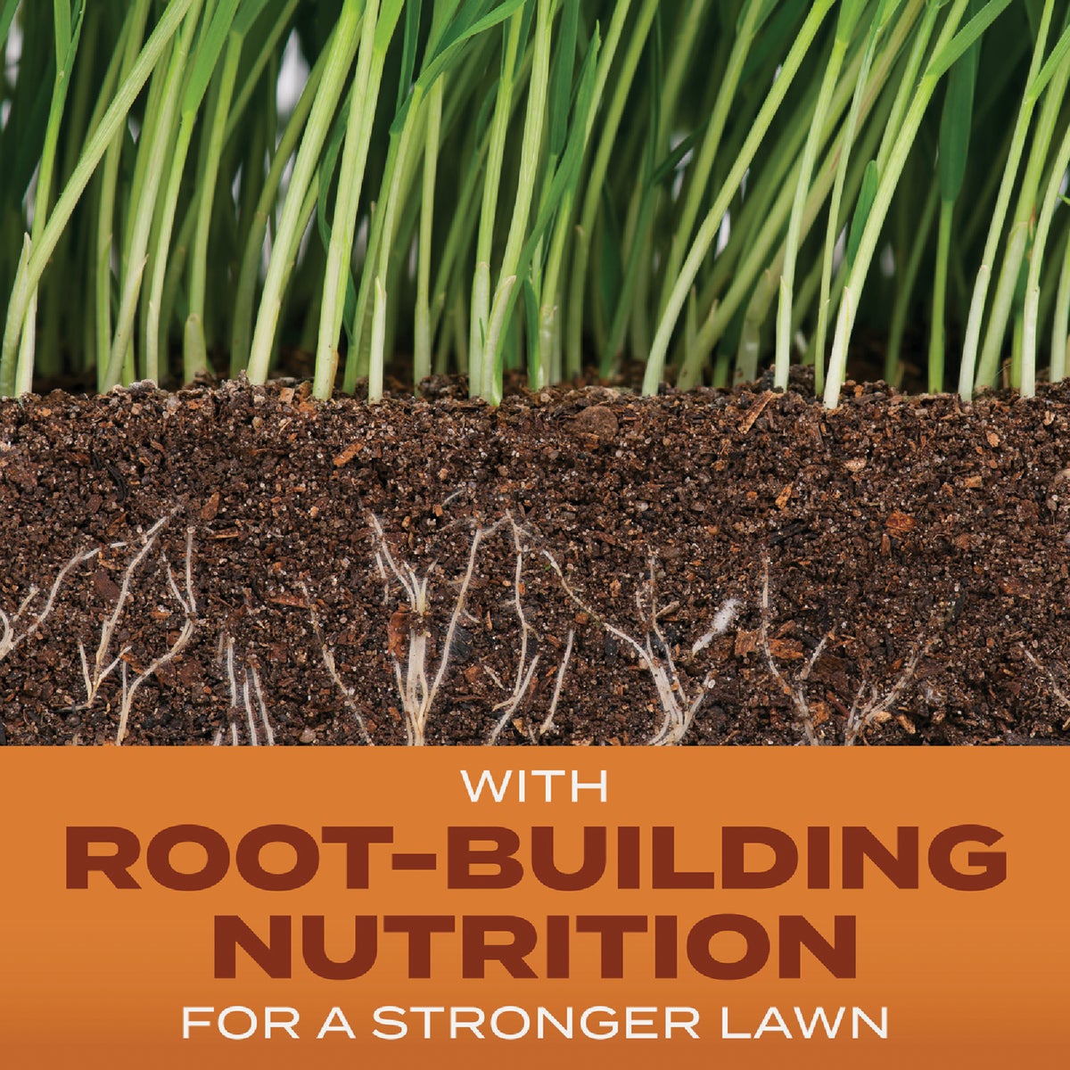 Scotts Turf Builder 1 Lb. 330 Sq. Ft. Bermudagrass Grass Seed, Fertilizer, and Soil Improver Combination Image 2