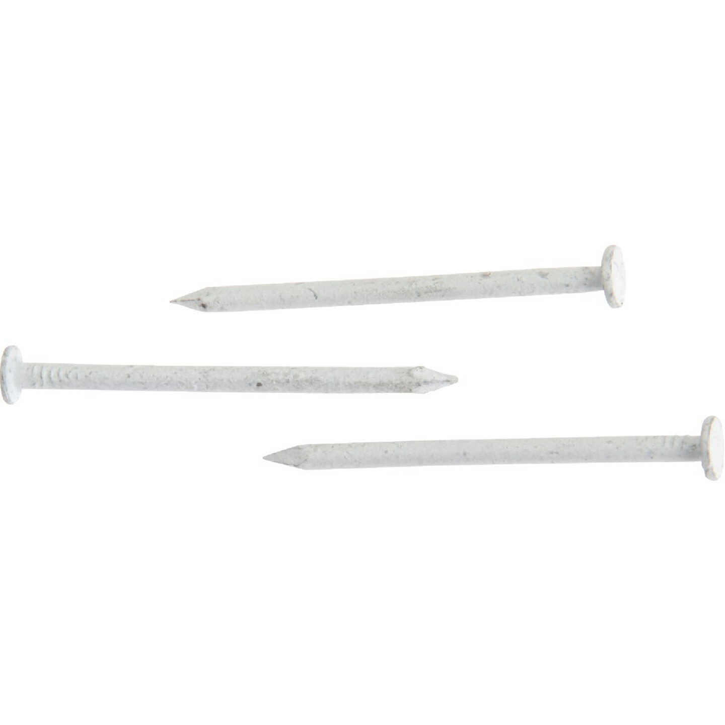 Do it 1-1/4 In. 15 ga White Stainless Steel Trim Nails (649-Count, 1 Lb.) Image 2