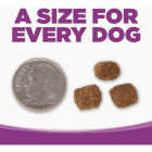 NutriSource 12 Lb. Large Breed Puppy Chicken & Rice Recipe Dog Food Image 6