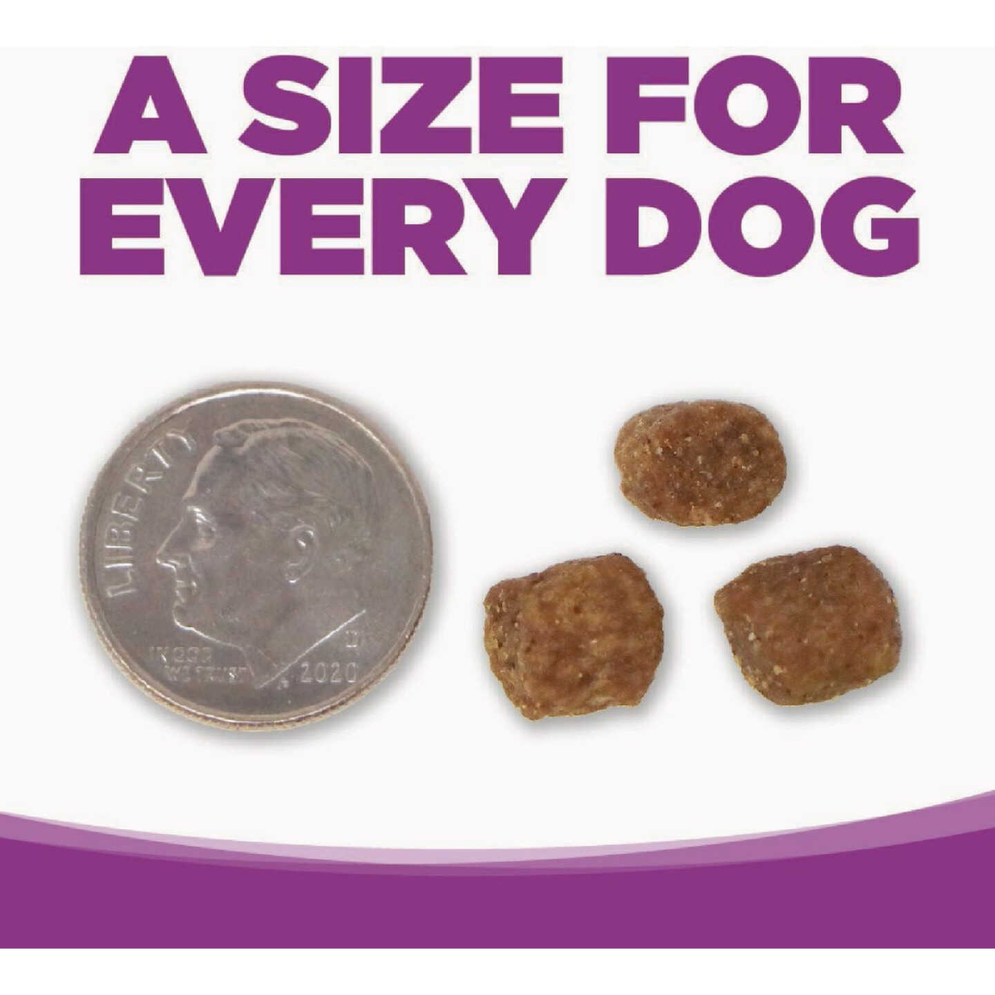 NutriSource 12 Lb. Large Breed Puppy Chicken & Rice Recipe Dog Food Image 6