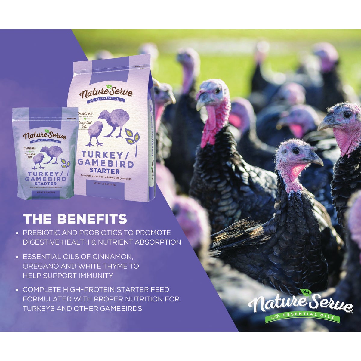NatureServe 10 Lb. Turkey/Gamebird Starter Image 2