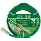 Best Garden 5/8 In. Dia. x 75 Ft. L. Medium-Duty Vinyl Garden Hose with Guard-N-Grip Image 1