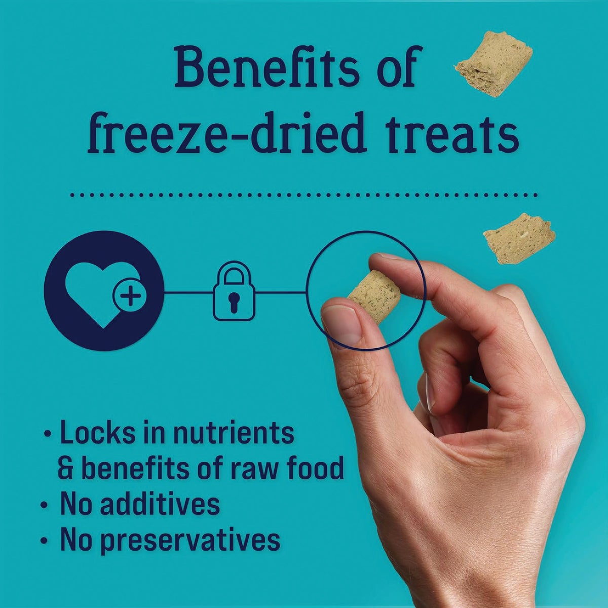 Stewart Immunity 4 Oz. Freeze-Dried Chicken Dog Treats Image 3
