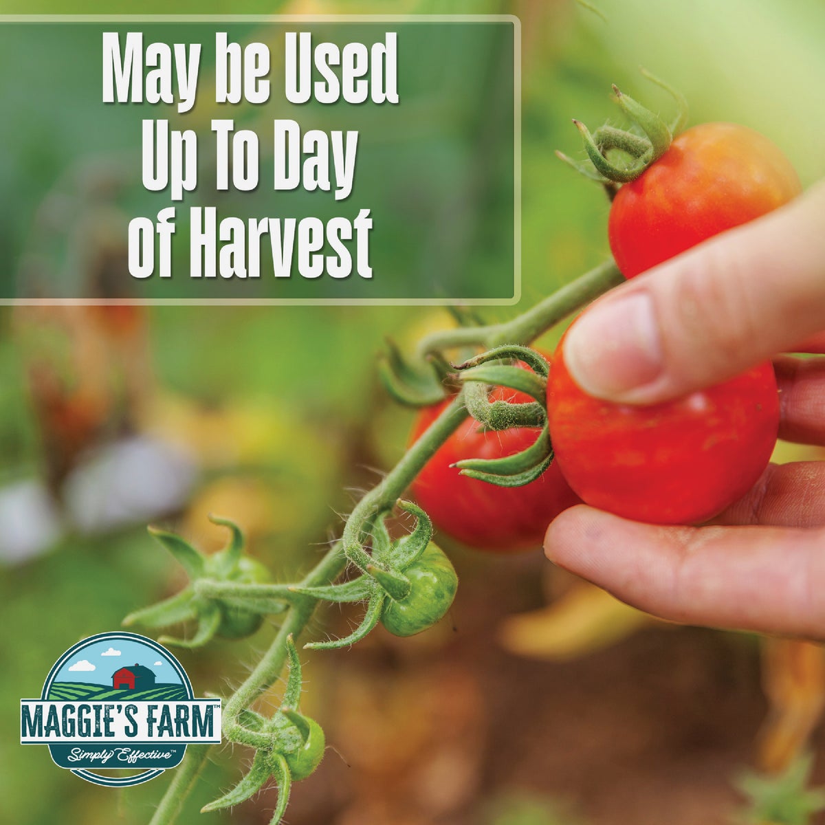 Maggie's Farm 24 Oz. Ready To Use Trigger Spray Vegetable Garden Insect & Disease Control Image 4