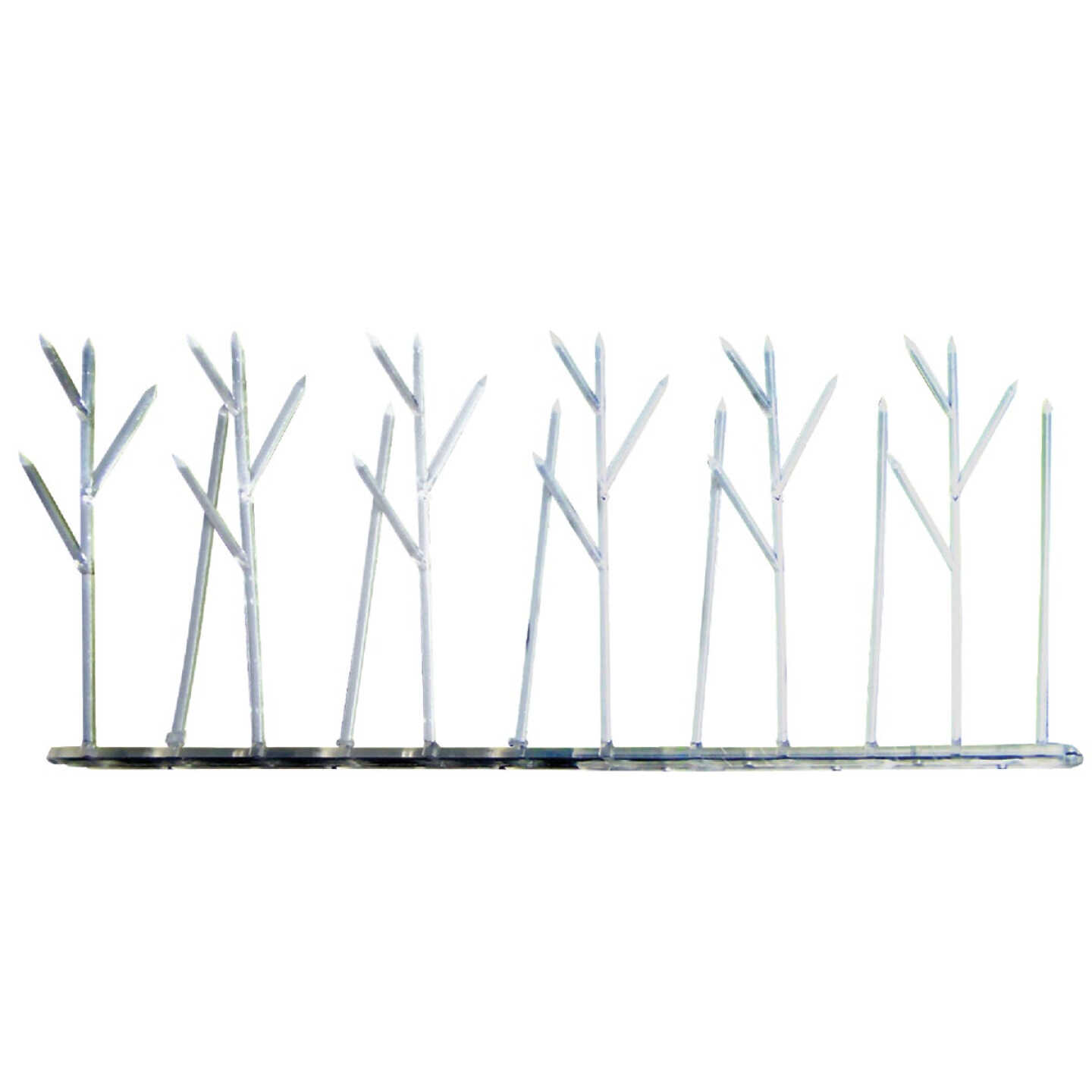 Bird X Polycarbonate Plastic 3 Ft. W. x 1 Ft. L. Bird Control Spikes Image 1