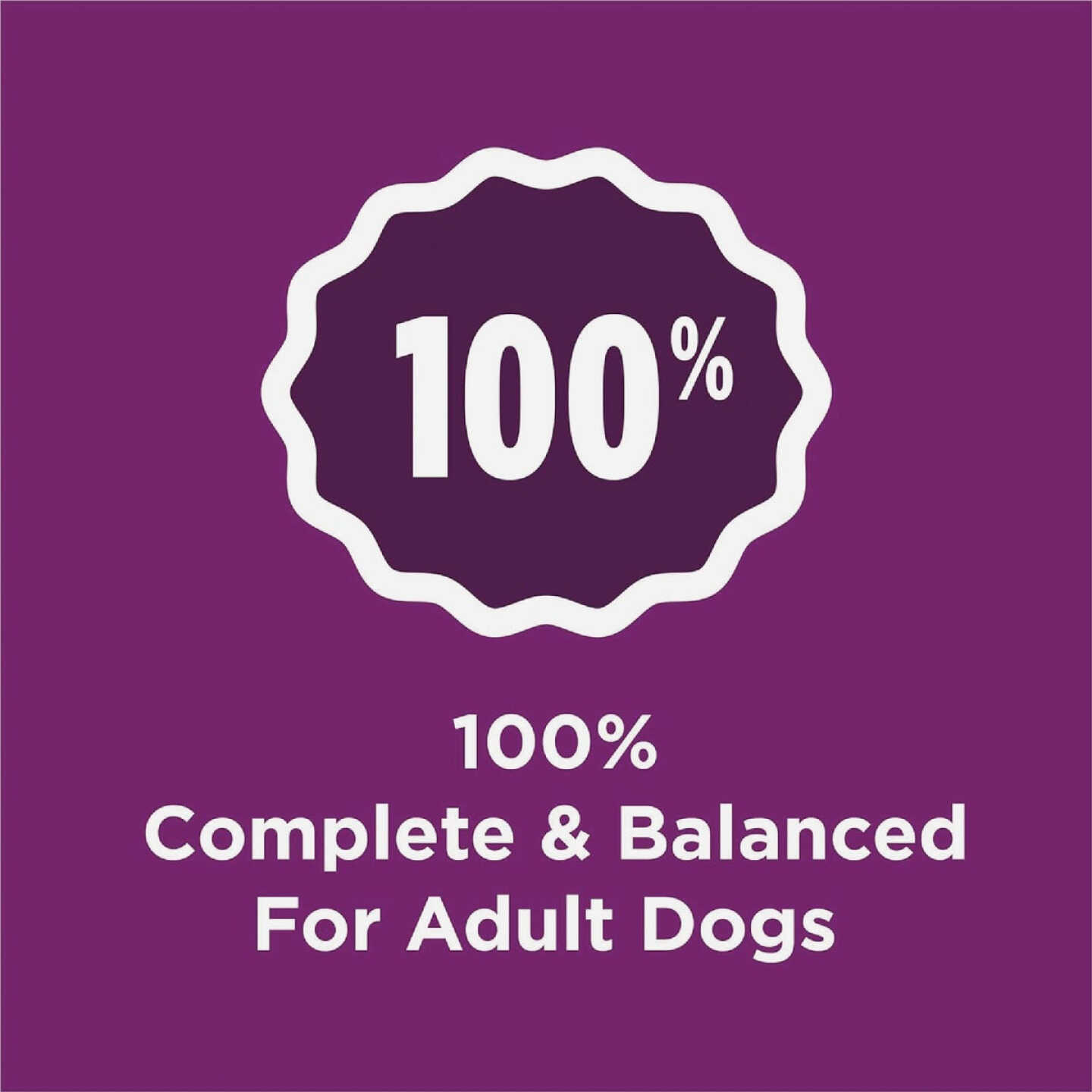 Purina Dog Chow Complete 44 Lb. Lamb Adult Dry Dog Food Image 7