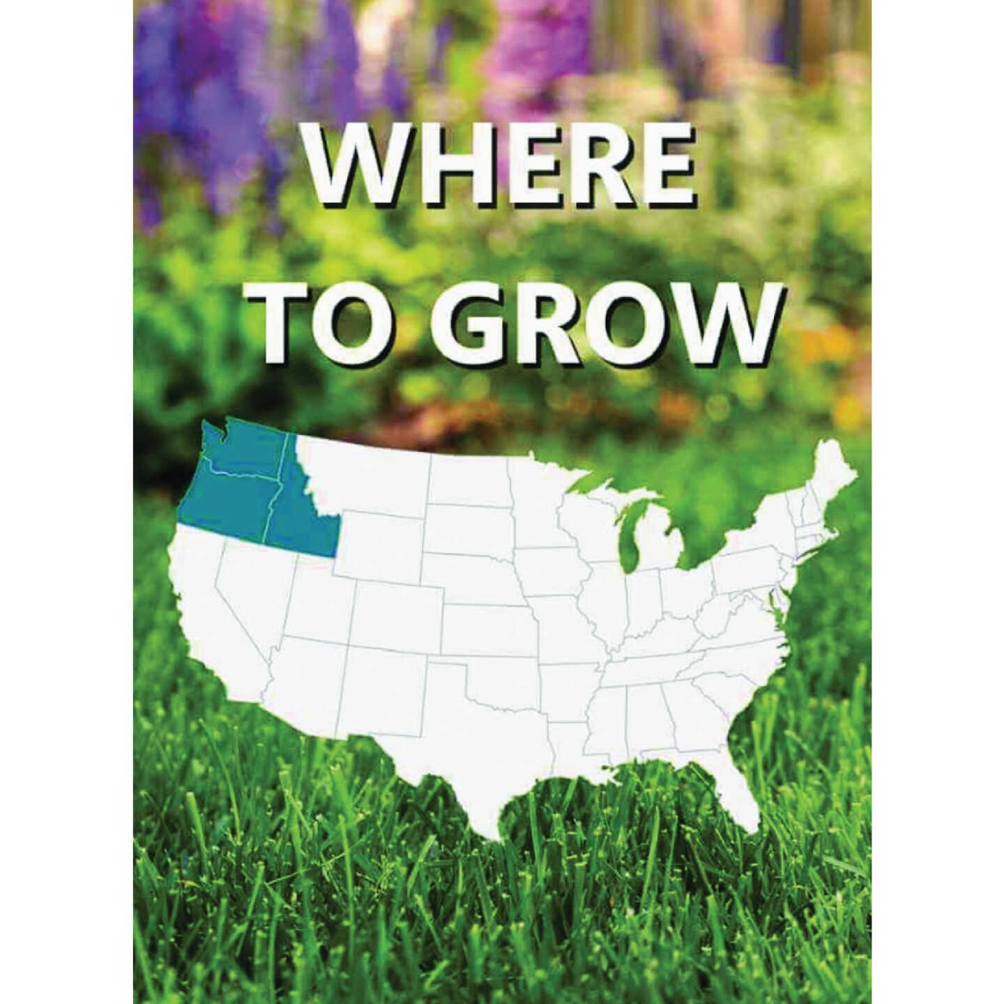 Jonathan Green Black Beauty Pacific Northwest 3 Lb. 2250 Sq. Ft. Coverage Tall Fescue Grass Seed Image 2