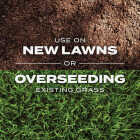 Scotts Turf Builder Rapid Grass 4 Lb. 1498 Sq. Ft. Bermudagrass Seed & Fertilizer Combination Image 6