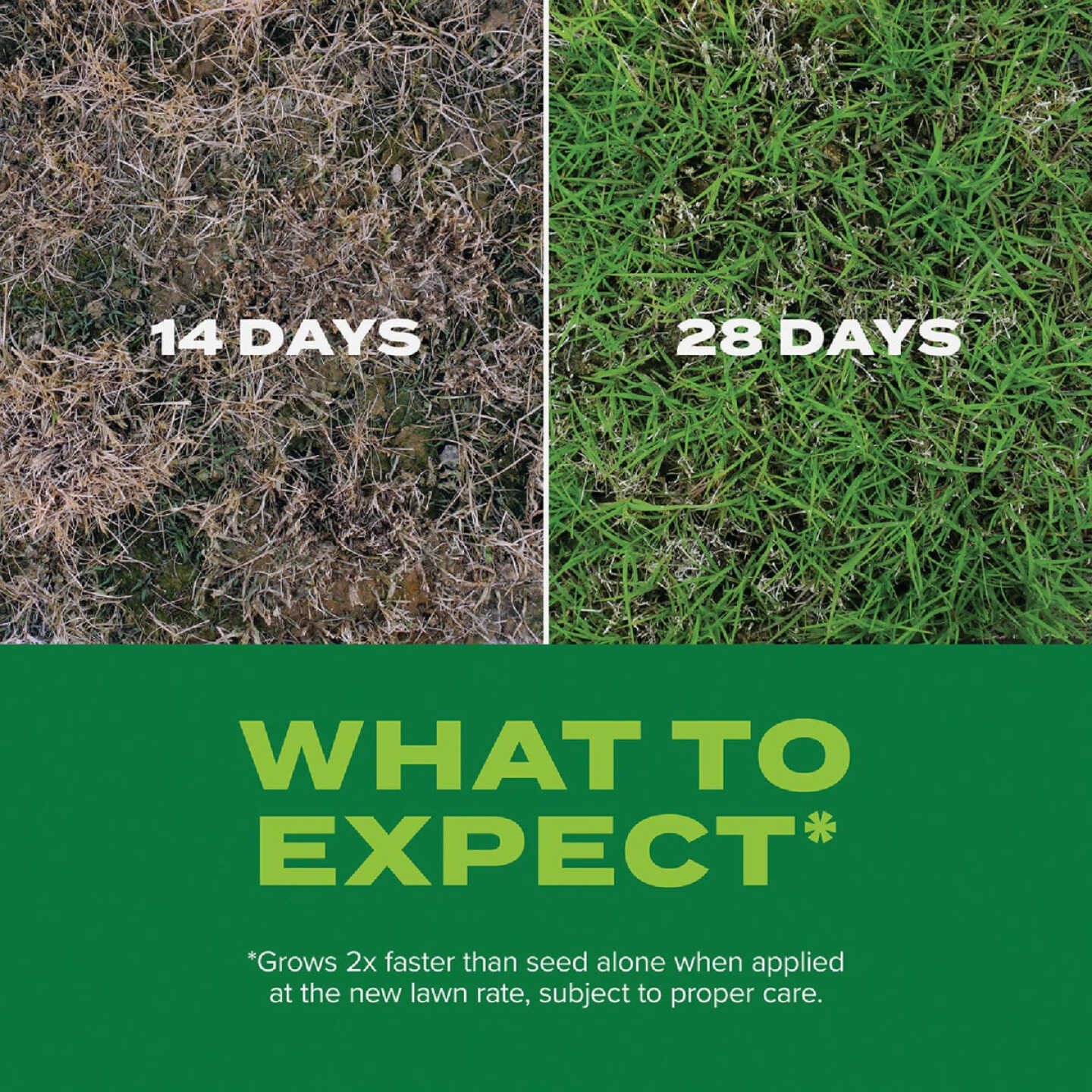 Scotts Turf Builder Rapid Grass 4 Lb. 1498 Sq. Ft. Bermudagrass Seed & Fertilizer Combination Image 4