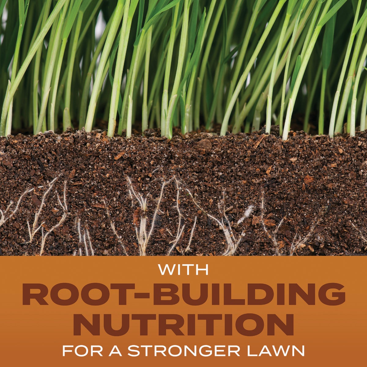 Scotts Turf Builder 5.6 Lb. 465 Sq. Ft. High Traffic Mix Grass Seed, Fertilizer, and Soil Improver Combination Image 2