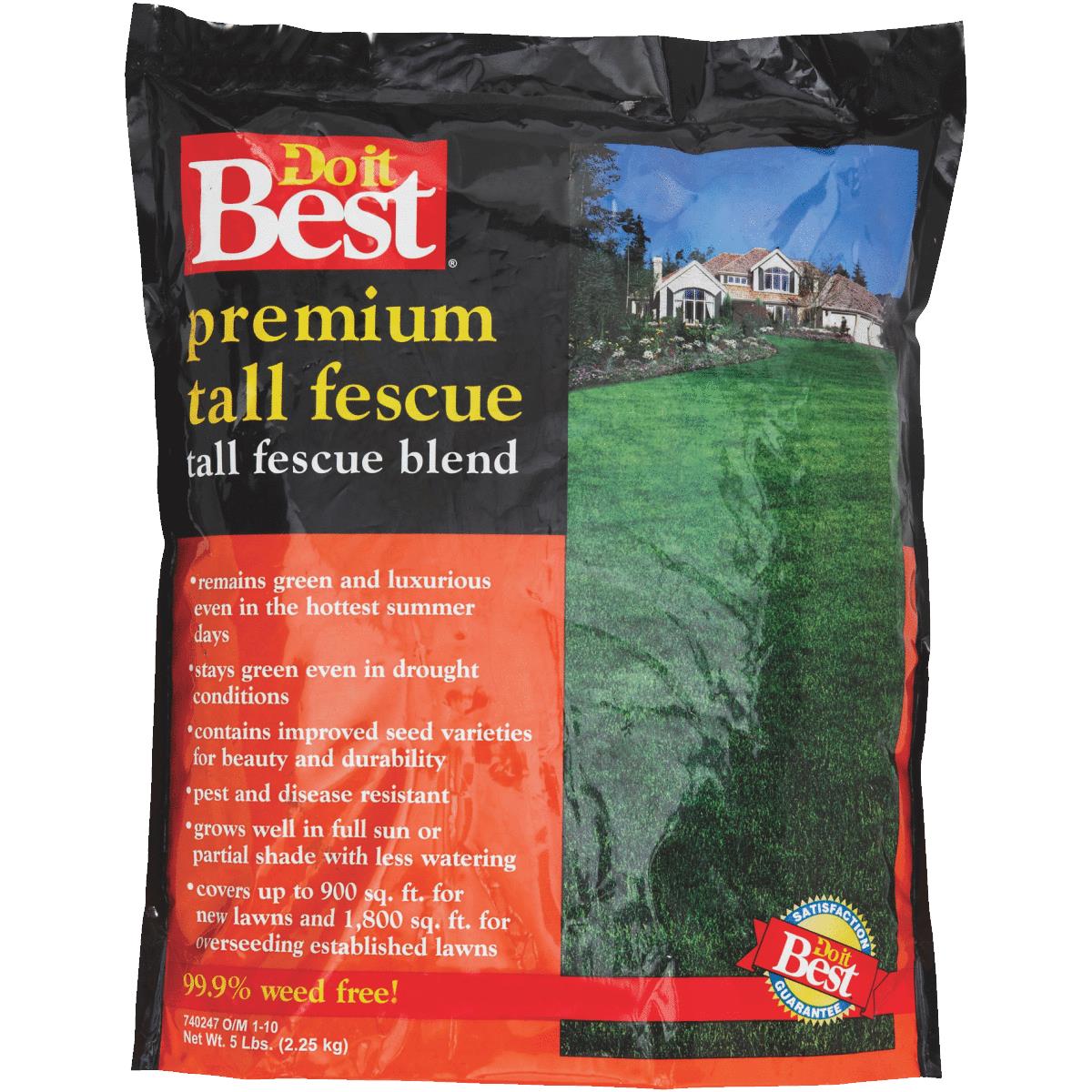 5LB BLEND T FESCUE SEED