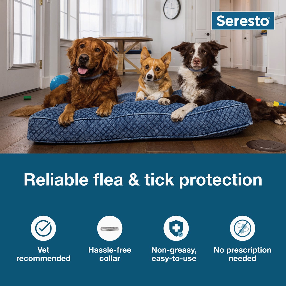 Seresto 8 Month Flea & Tick Collar for Dogs Up to 18 Lb. Image 2