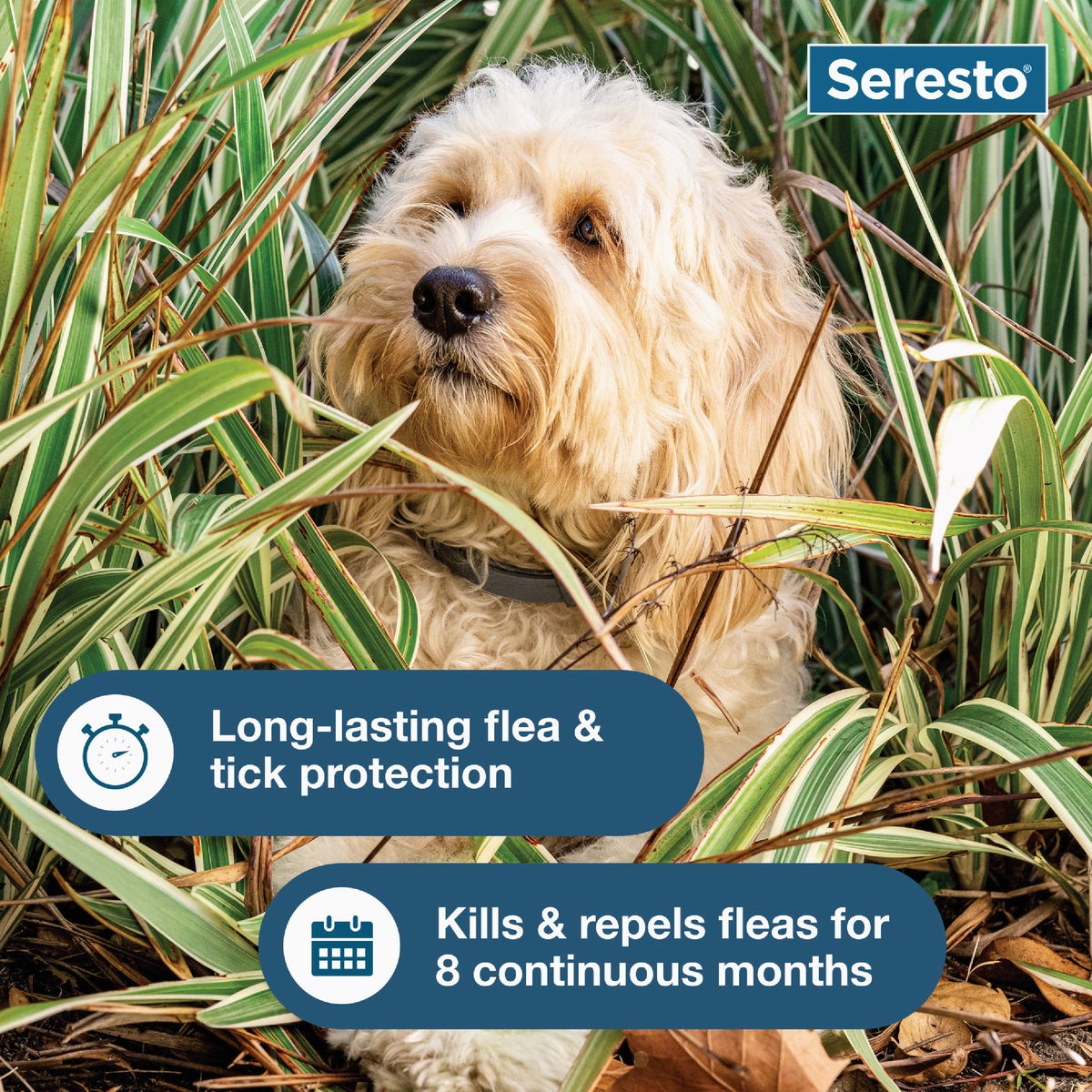 Seresto 8 Month Flea & Tick Collar for Dogs Up to 18 Lb. Image 3