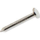 Do it Best 1-1/4 In. 11 ga Hot Galvanized Truss and Joist Hanger Nails (12,000-Count, 50 lb) Image 1