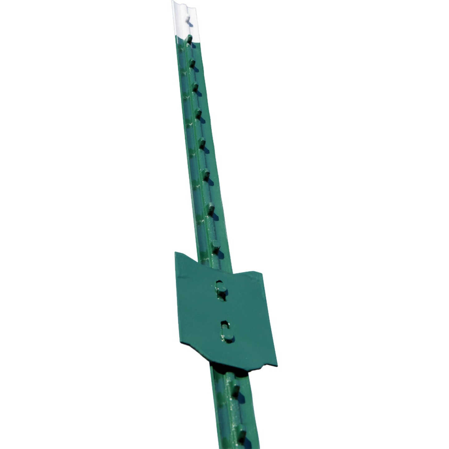 Franklin Industries 8 Ft. Steel 1.25 Lb./Ft. Fence T-Post Image 1