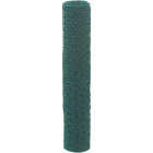1 In. x 36 In. H. x 25 Ft. L. Green Vinyl-Coated Poultry Netting Image 3