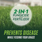 Scotts Turf Builder 8000 Sq. Ft. 27.40 Lb. Fungicide & Lawn Food Image 3